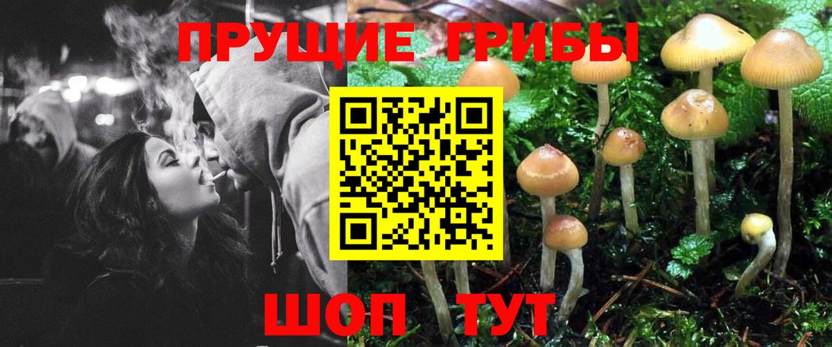 Дюртюли  Псилоцибиновые грибы мухоморы  Вход с VPN  Псилоцибиновые грибы GOLDEN TEACHER 